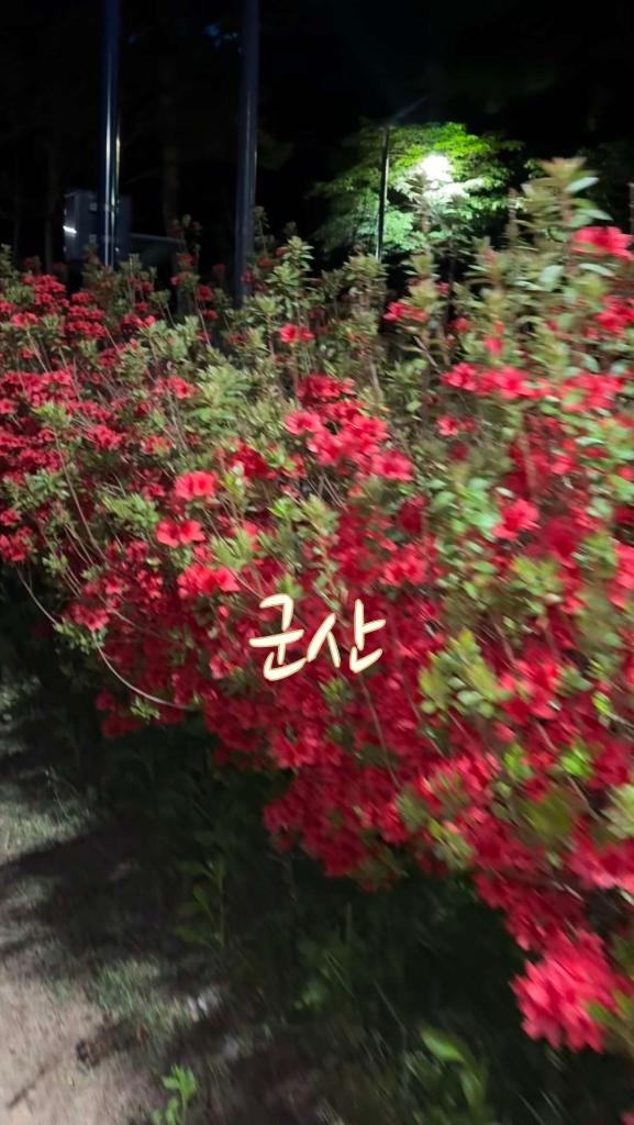 KakaoTalk_20260430_090003294