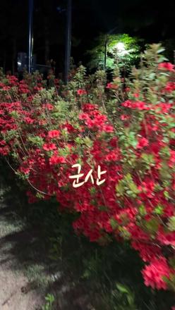 [청년] 2026년 군산 청년 서포터즈 1기 1차 라운드 미션 영상(청년농부 그린핑거)